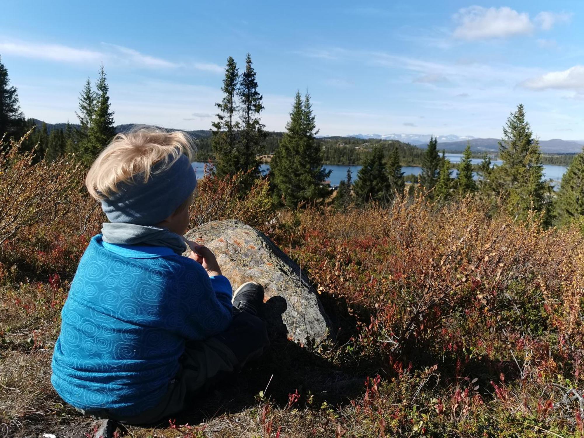Gronolen Fjellgard Hotel Beitostolen Bagian luar foto