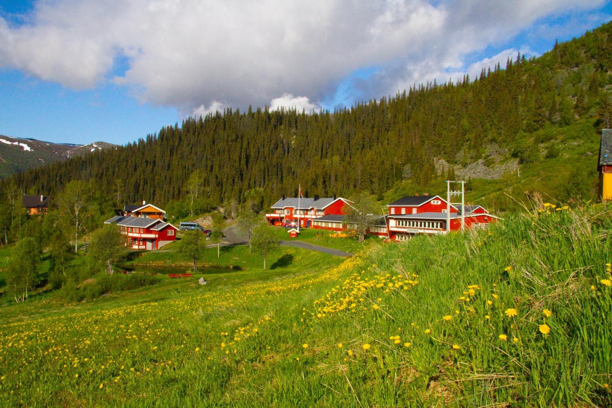 Gronolen Fjellgard Hotel Beitostolen Bagian luar foto