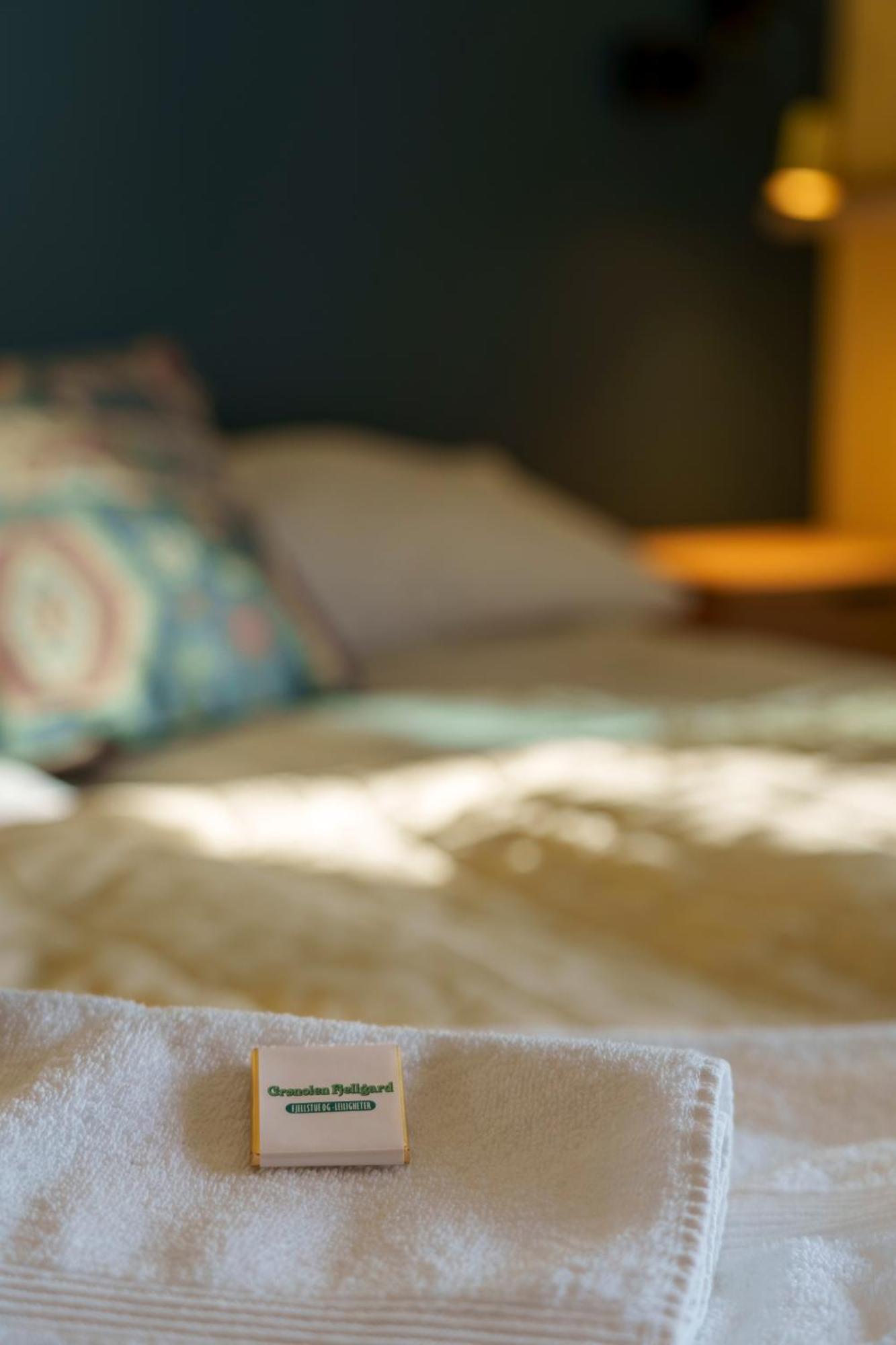 Gronolen Fjellgard Hotel Beitostolen Bagian luar foto
